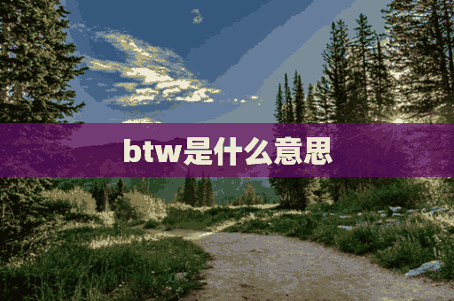 btw是什么意思(BTW是什么意思网络用语)